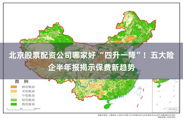 北京股票配资公司哪家好 “四升一降”！五大险企半年报揭示保费新趋势