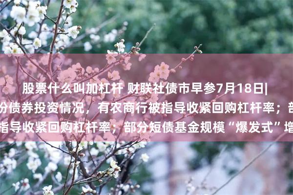 股票什么叫加杠杆 财联社债市早参7月18日| 金融监管部门调研部分省份债券投资情况，有农商行被指导收紧回购杠杆率；部分短债基金规模“爆发式”增长