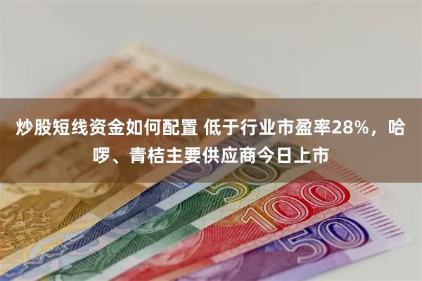 炒股短线资金如何配置 低于行业市盈率28%，哈啰、青桔主要供应商今日上市