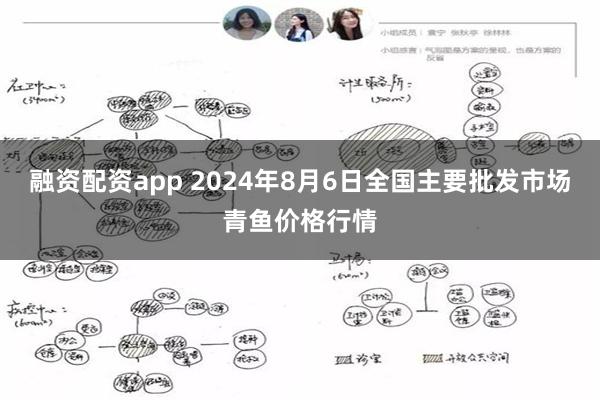 融资配资app 2024年8月6日全国主要批发市场青鱼价格行情