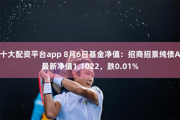 十大配资平台app 8月6日基金净值：招商招景纯债A最新净值1.1022，跌0.01%