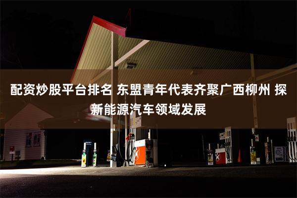 配资炒股平台排名 东盟青年代表齐聚广西柳州 探新能源汽车领域发展