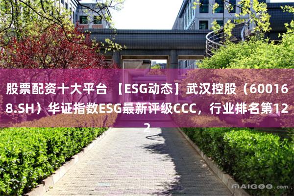 股票配资十大平台 【ESG动态】武汉控股（600168.SH）华证指数ESG最新评级CCC，行业排名第12