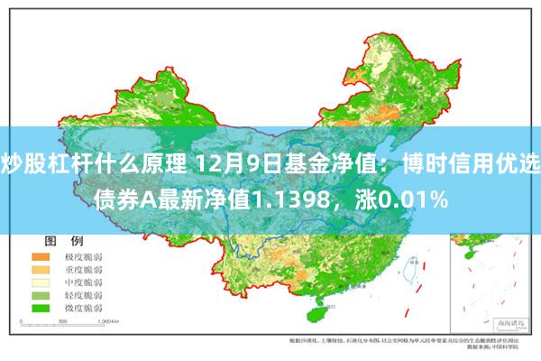 炒股杠杆什么原理 12月9日基金净值：博时信用优选债券A最新净值1.1398，涨0.01%