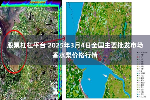 股票杠杠平台 2025年3月4日全国主要批发市场香水梨价格行情